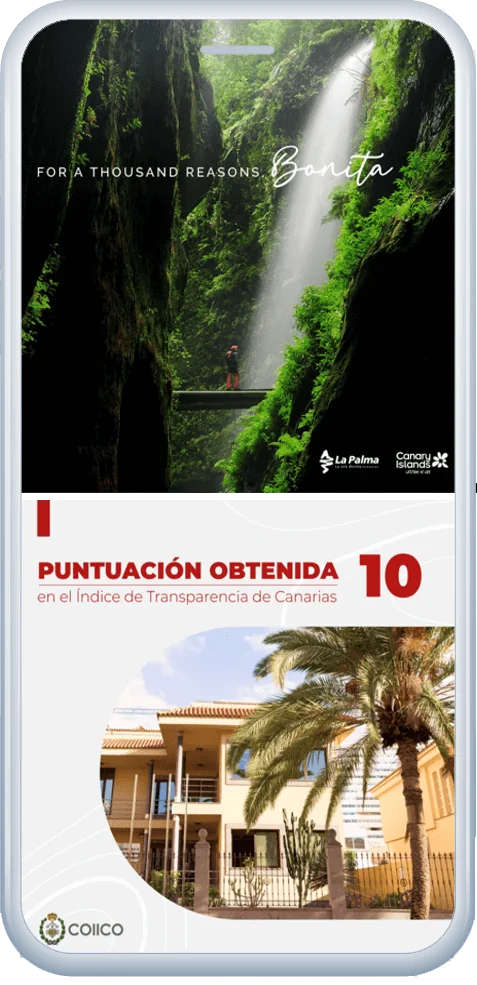 agencia social ads