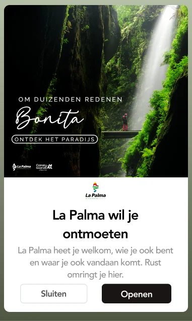 Proyecto de la agencia de mkt digital Klawter Visit La Palma